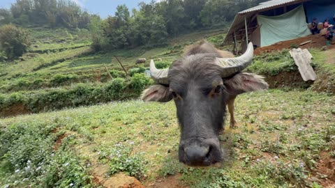 2nd Day of Hiking in Sapa, Vietnam