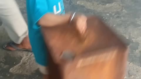 Shiva masti