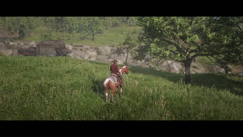 Red Dead Redemption 2 20250606113338874858740802938 ohio 1899 38230938908393e89 #rdr2