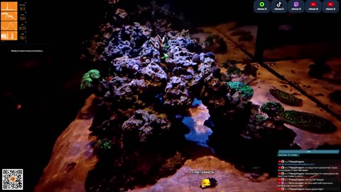 24/7 Real Live Reef Stream