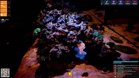 24/7 Real Live Reef Stream