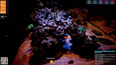 24/7 Real Live Reef Stream