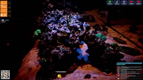 24/7 Real Live Reef Stream