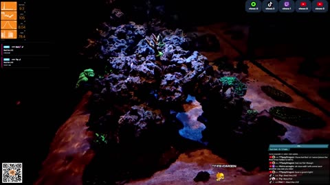 24/7 Real Live Reef Stream