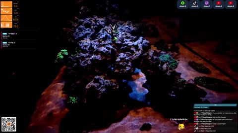 24/7 Real Live Reef Stream