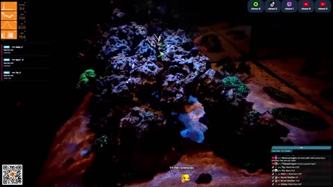 24/7 Real Live Reef Stream