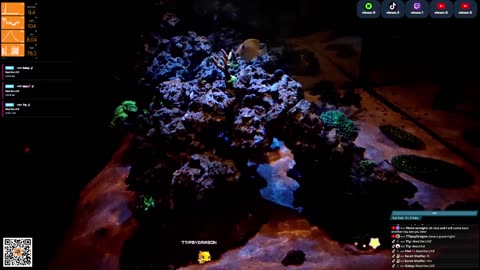 24/7 Real Live Reef Stream