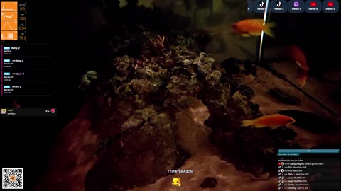 24/7 Real Live Reef Stream