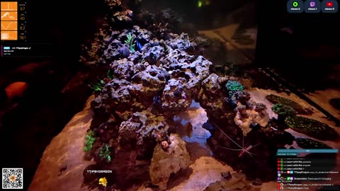 24/7 Real Live Reef Stream