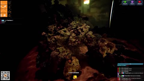 24/7 Real Live Reef Stream