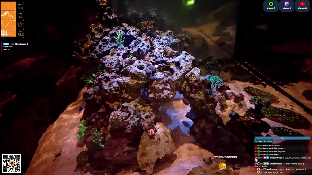 24/7 Real Live Reef Stream