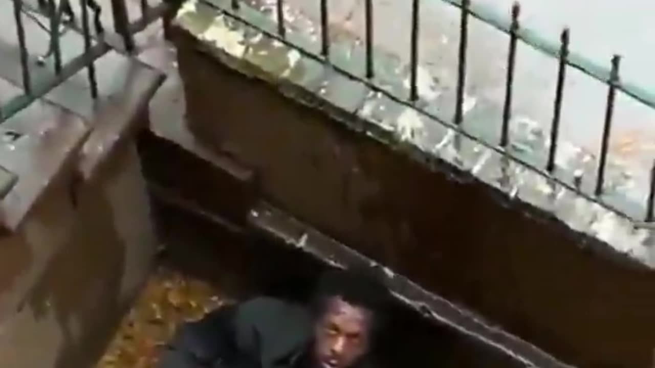 Doctor or engineer rubbing his meat in someones front yard.