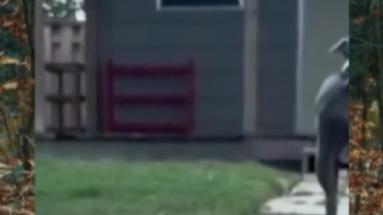 Creepy Videos3👻