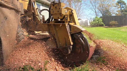 How to Grind a Stump for New Grass