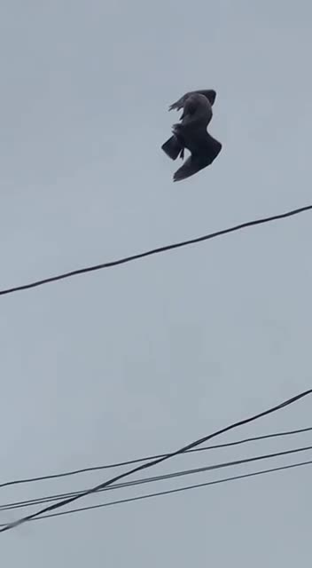 glitch in the matrix caught on tape?