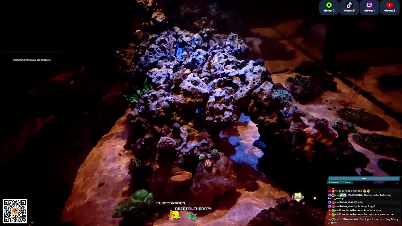 24/7 Real Live Reef Stream