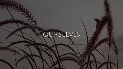 🕊️✨ A Praise Prayer | Worship & Glory to God | InGodWeTrustDaily