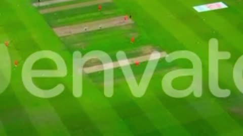 The moment of agony in cricket