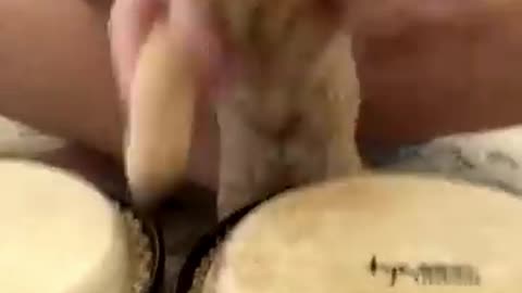 Monkey’s Hilarious Rope Reaction 😂 | Super Funny & Cute Animal Moments