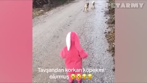 CANI E BAMBINI