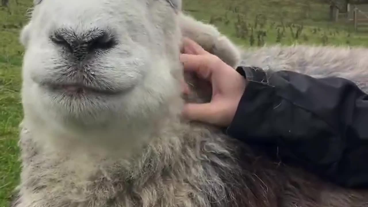 Smiling through the grey days 😊