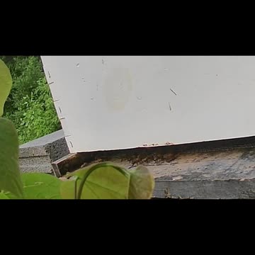 Sunday Morning Sun Up Chill Out