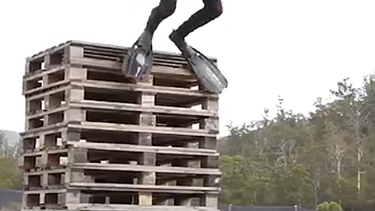 If Animals Did Parkour😂