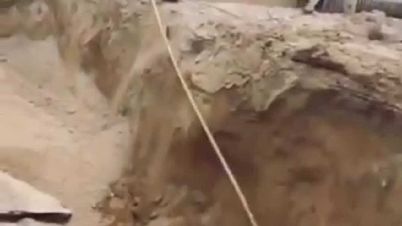 25 funny moment of the day