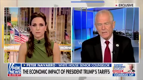 Peter Navarro: ‘These tariff revenues…they're going to help pay for the tax cuts.