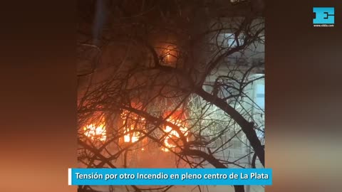 La plata buenos aires año 2025