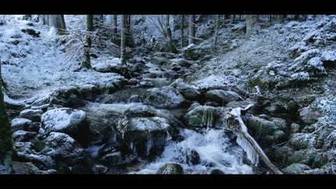 Stream via RTMP (OBS, Vmix, Zoom) with Restream