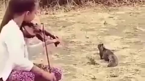 Music gives soul to the universe