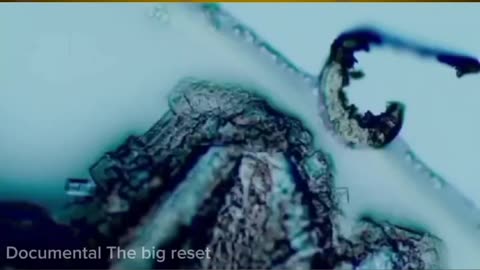 Estudios de Vacunados Grafito