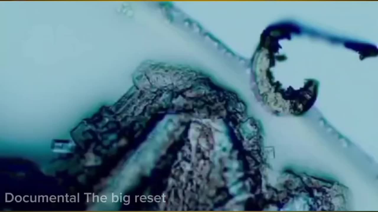 Estudios de Vacunados Grafito