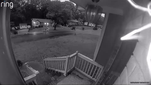 Radioactive spider caught on camera!!!