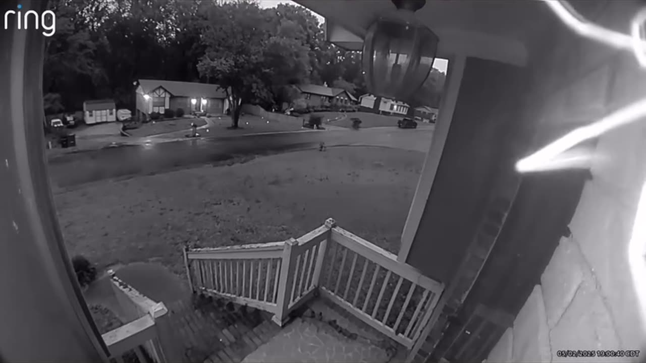 Radioactive spider caught on camera!!!