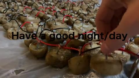 How Many Potatoes Does It Take To Run DOOM?