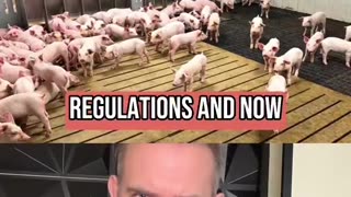 BREAKING GANADA APPROVES CLONED MEAT 🥩