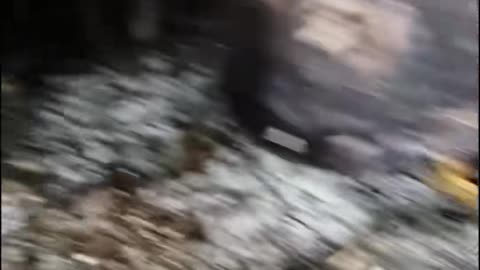 😱👽 Creature Encounter: The Scariest Footage Ever Recorded! | TheHauntingHour