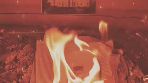Tim Rifat TikTok Videos
