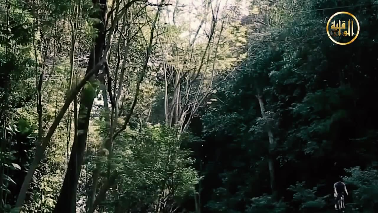 محاججة في العقيدة... وتسليم للت