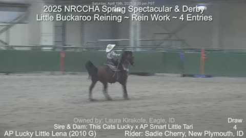 Little Buckaroo Reining ~ Rein Work