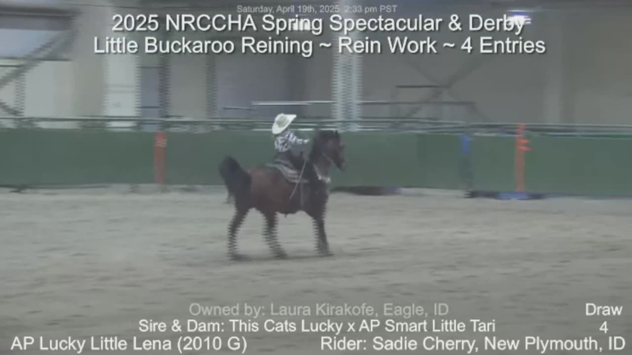 Little Buckaroo Reining ~ Rein Work