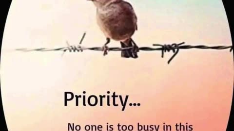"24 Hours: The Priority Principle"