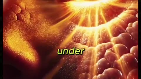 OPTOGENETICS......what is the secret flashing from your phones and devices really doing?