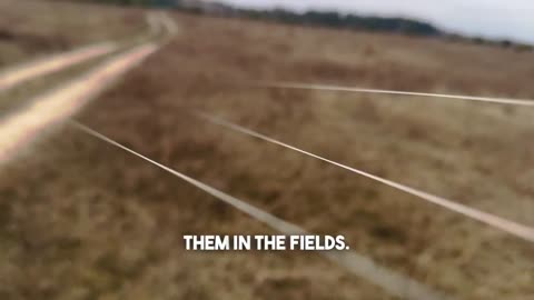 'Web of death': drones leave behind optical fibres that don't just disappear