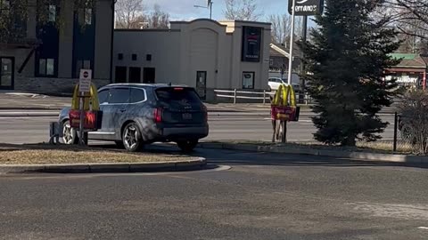 Moose at McDonalds