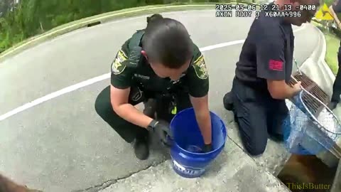 St. Johns County Sheriff's deputies rescue ducklings who were trapped in a storm drain