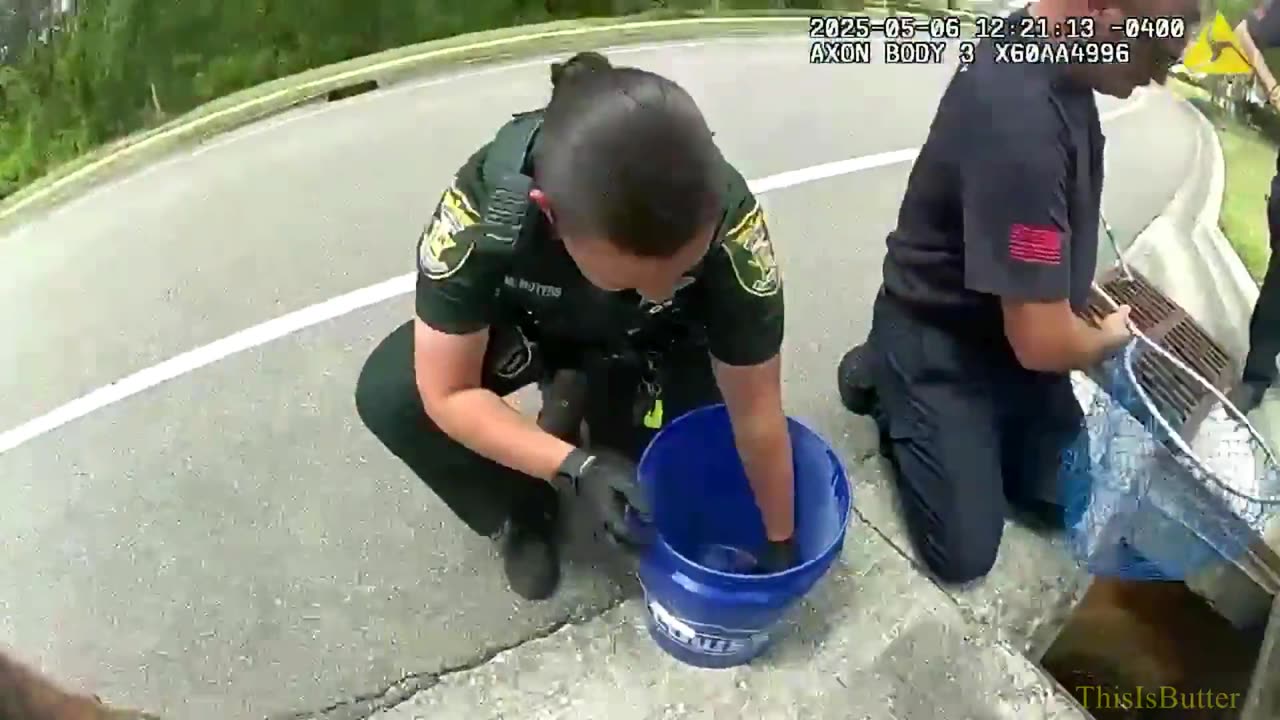 St. Johns County Sheriff's deputies rescue ducklings who were trapped in a storm drain