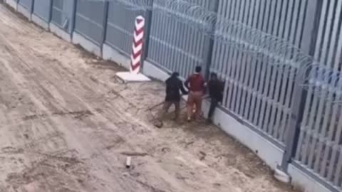 🇵🇱 🇧🇾 Mira cómo Polonia protege su frontera de la invasión de inmigrantes.